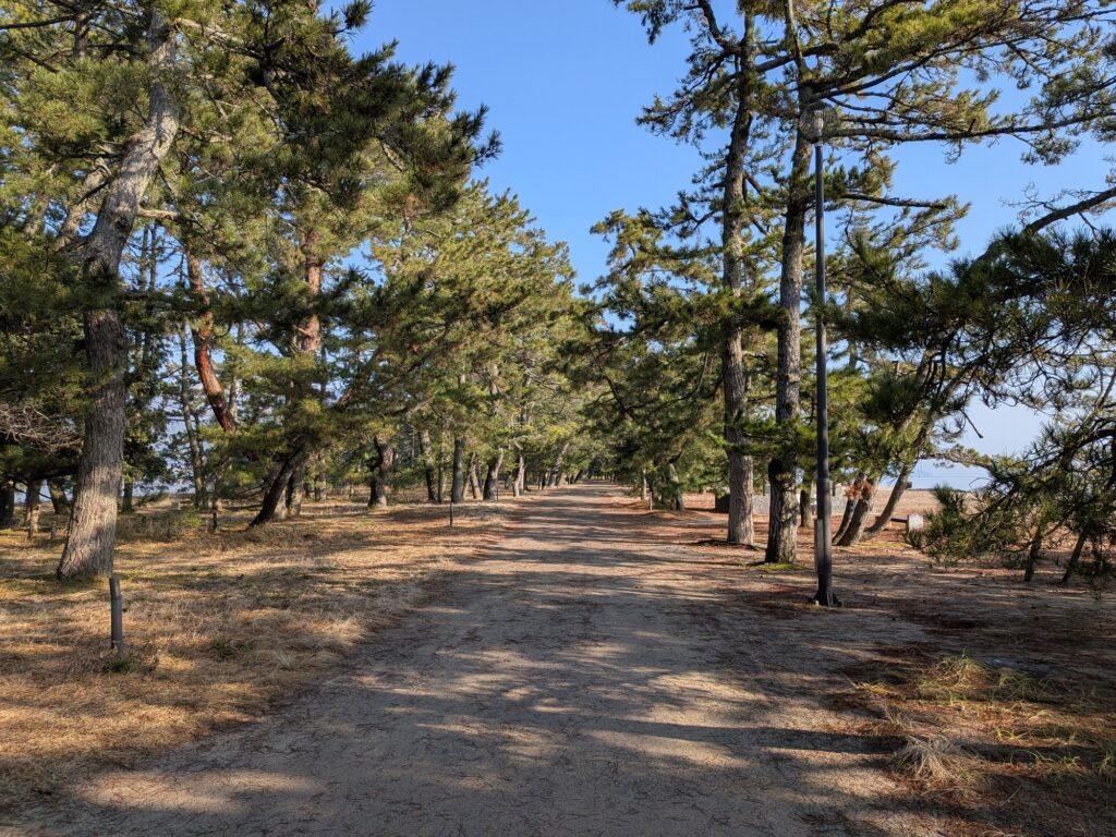 天橋立公園