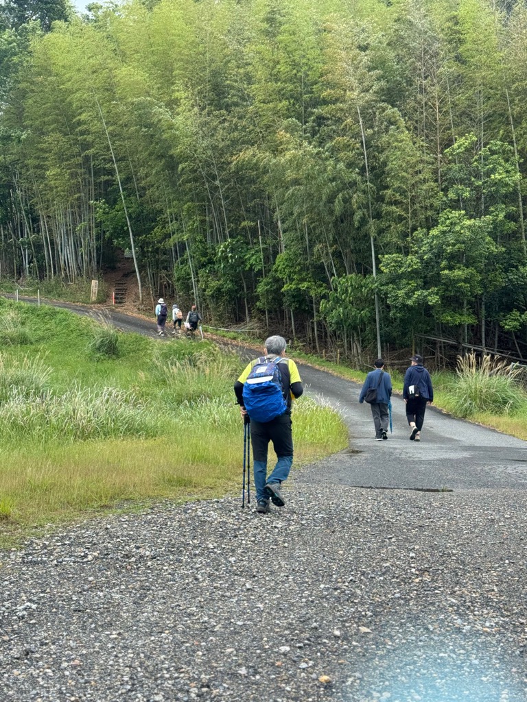山背古道春のは～ふウォーク