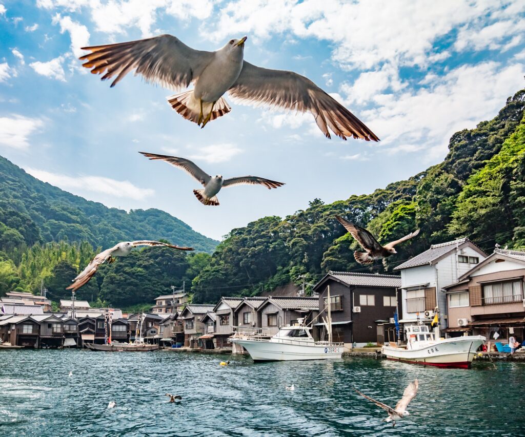 伊根町